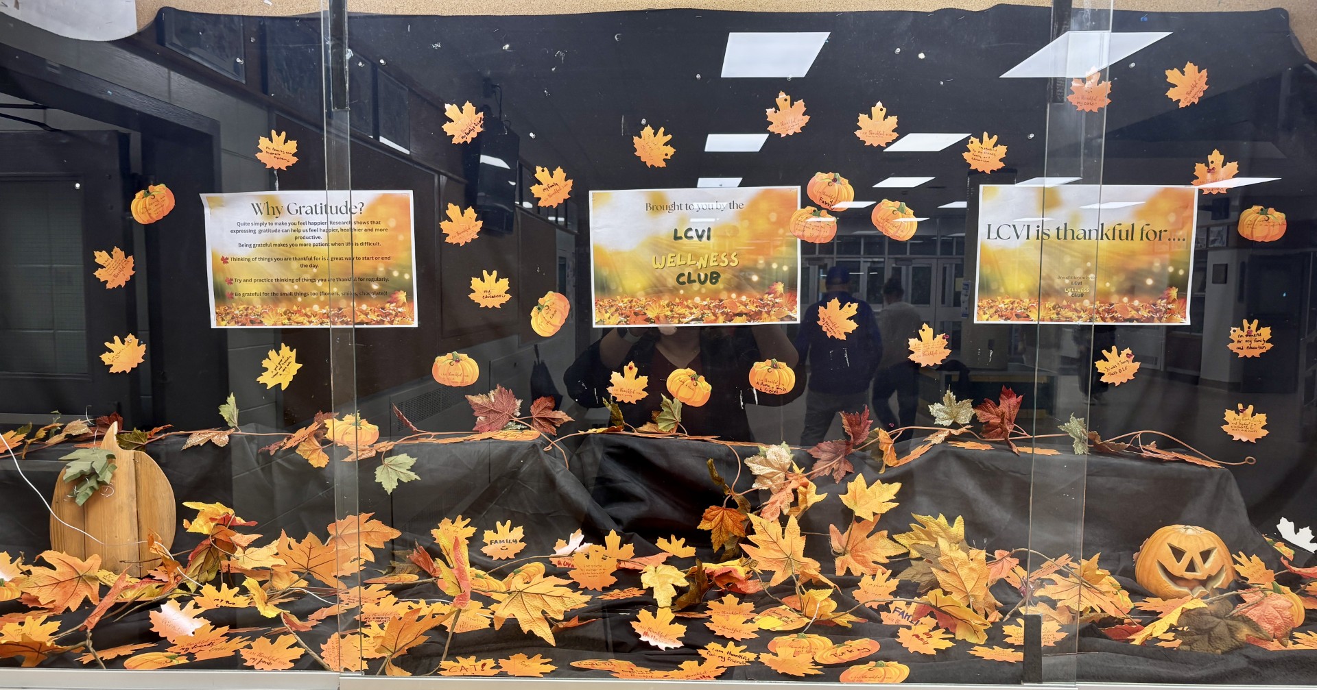 Gratitude Display
